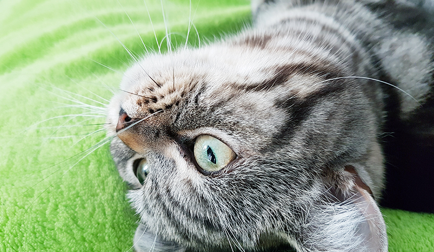 消臭除菌の場面